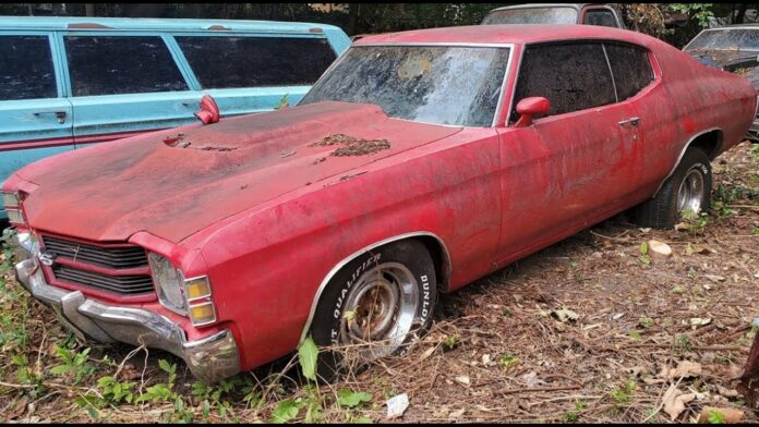 1971 Chevelle